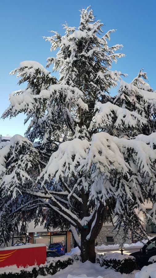 Locanda Ai Dogi Pieve di Cadore Buitenkant foto